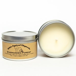 Vela de soja vertida a mano en el bosque de hoja perenne - 7 oz