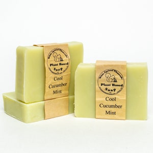 May include: Four rectangular bars of pale green soap. Each bar is wrapped with a brown paper label that reads "Cool Cucumber Mint" and "Plant Based Soap". The soap has a fresh, clean appearance, suggesting a natural product.