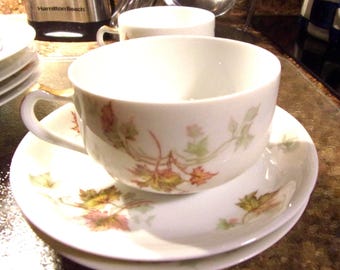 May include: A white porcelain teacup and saucer set featuring a delicate botanical pattern of autumn-colored maple leaves in shades of orange, yellow, and green. The teacup has a gold-trimmed handle and sits centered on the matching saucer.