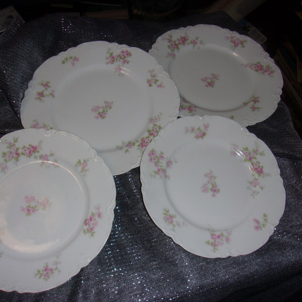 Limoges Haviland China Patterns Antique Etsy