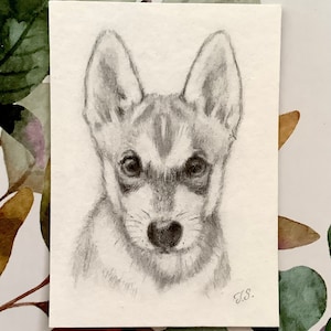 Hand Drawn Pencil Portrait from Photo: Personalized Graphite Art