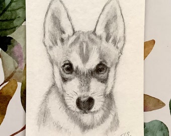 Hand Drawn Pencil Portrait from Photo: Personalized Graphite Art