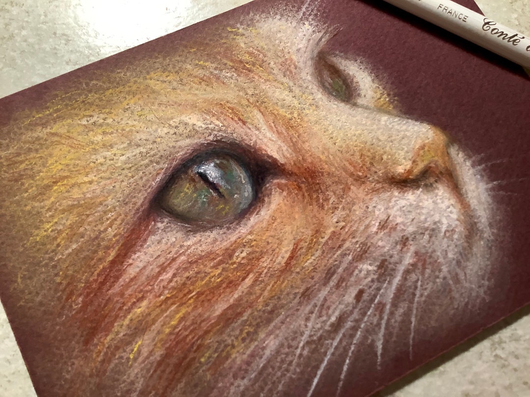 Custom Pet Portrait: Hand-painted Cat and Dog Acrylic or Pastel ...