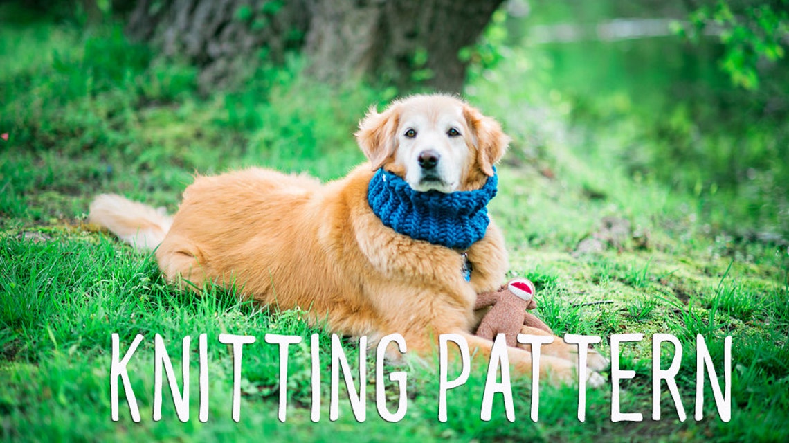 Dog Knitting Pattern Easy Knitting Pattern Knit for Your Etsy