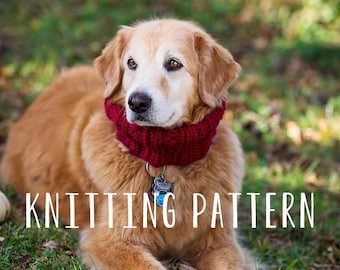 Dog Clothes ~ PDF Knitting Pattern - Immediate Download - Easy Knitting Pattern for your Dog ~ Sized Small through XL