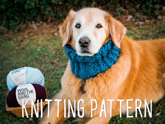 dog cowl knit pattern