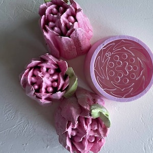 Nozzle Set 5cm for Icing Piping Nozzles Plastic Decorating Tips 3 pcs Decorating Tools Cake Decorating Buttercream and Marshmallow Flowers