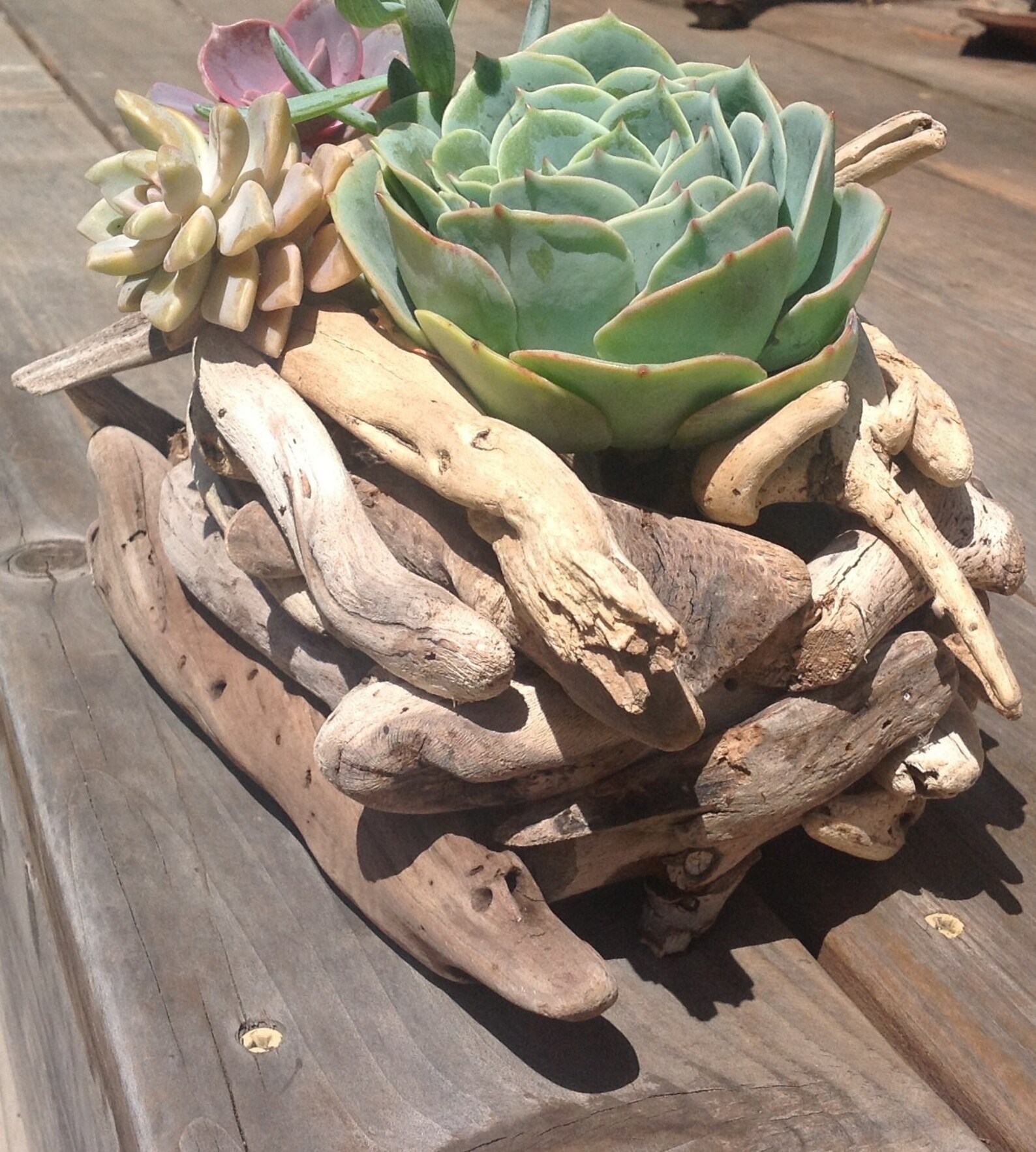 Driftwood Basket Etsy