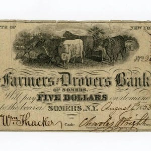 1850s Five Dollar New York Bank Note Money Antique Currency