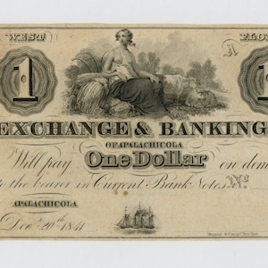 1841 One Dollar Florida Banking Company Note Money Currency image 1
