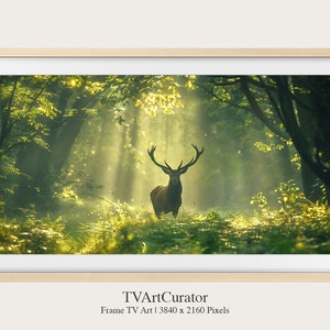 Puede incluir: Un ciervo rojo se encuentra en un claro soleado del bosque. El ciervo está de cara a la cámara con sus cuernos levantados. El bosque es exuberante y verde, con la luz del sol que se filtra entre los árboles.