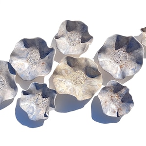May include: A collection of nine ceramic wall art pieces. Each piece has a petal-like shape with a textured, light-colored center and a blue-grey outer rim. The pieces are arranged on a white background.
