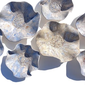 May include: A collection of ceramic bowls with wavy, organic edges and a textured, speckled finish. The bowls feature a colour palette of light blue, cream, and tan, with a raised, porous centre resembling a flower head or seed pod.