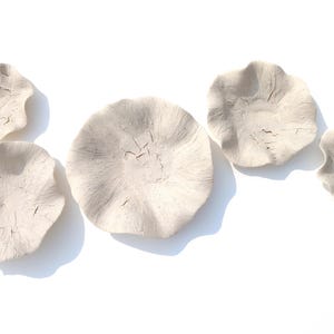 May include: A collection of six off-white, petal-shaped ceramic wall decorations. The pieces vary in size and have a textured, cracked surface. They are arranged on a white background, creating a minimalist, artistic display.