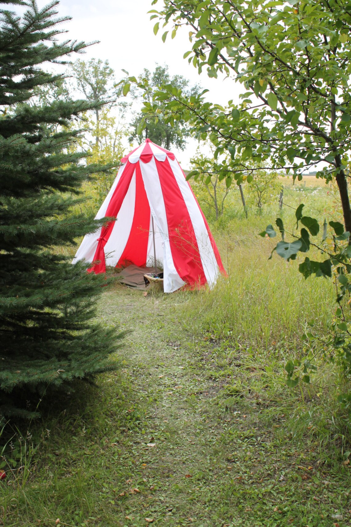 Buy Circus Tent Circus Photo Prop Tent Midway Tent Online in India Etsy