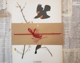 Ilustraciones de aves con botánico, conjunto de 4 grabados, grabados botánicos vintage, arte de pared botánico, ilustraciones botánicas