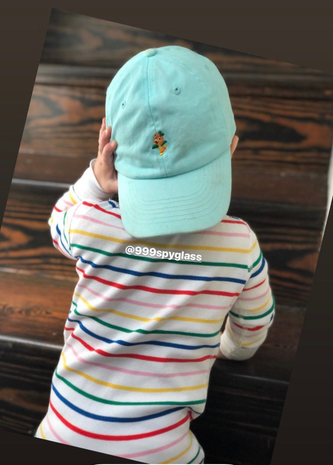 Orange Bird Disney Baseball Dad Hat 