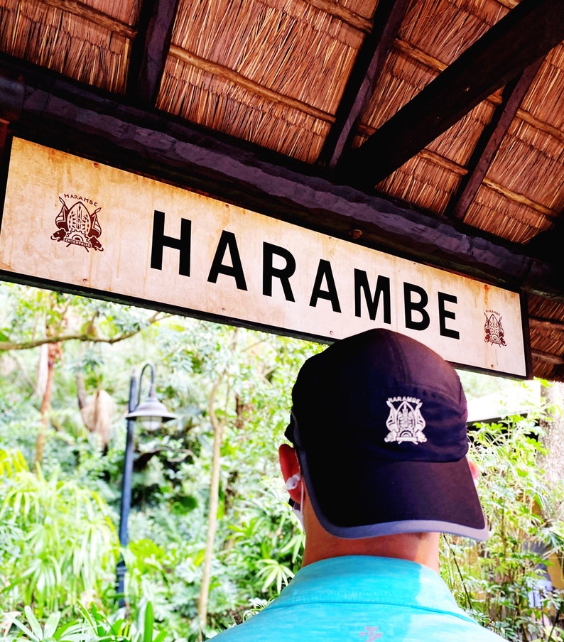 Disney animal kingdom Harambe enterprises logo embroidered dad image 2