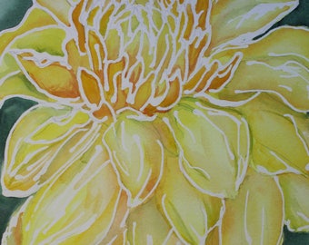 Close Up Yellow Dahlia Fine Art Print, available in 7x7 inches