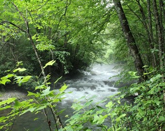 Summer Stream in the Smokies Photograph- 5x7, 8x10, or 11x14 Print