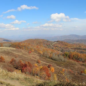 May include: A panoramic view of a mountain range with a mix of green and autumn foliage. The trees are mostly brown, orange, and yellow. The sky is blue with white clouds.