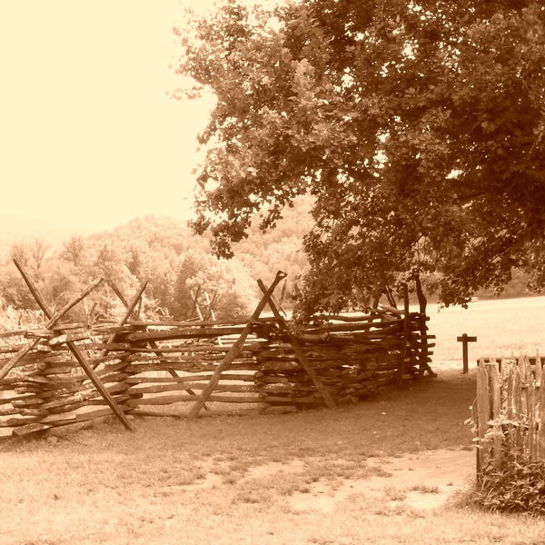 Old Fashioned Sepia Fence & Tree Photograph, Available in 5x7 and 8x10 inches