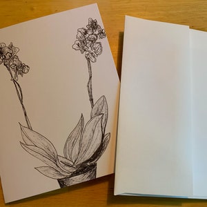 Ink Orchid Folded Card Set of 10