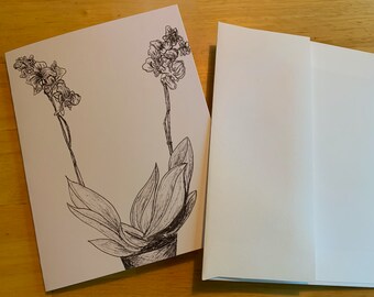 Ink Orchid Folded Card Set of 10