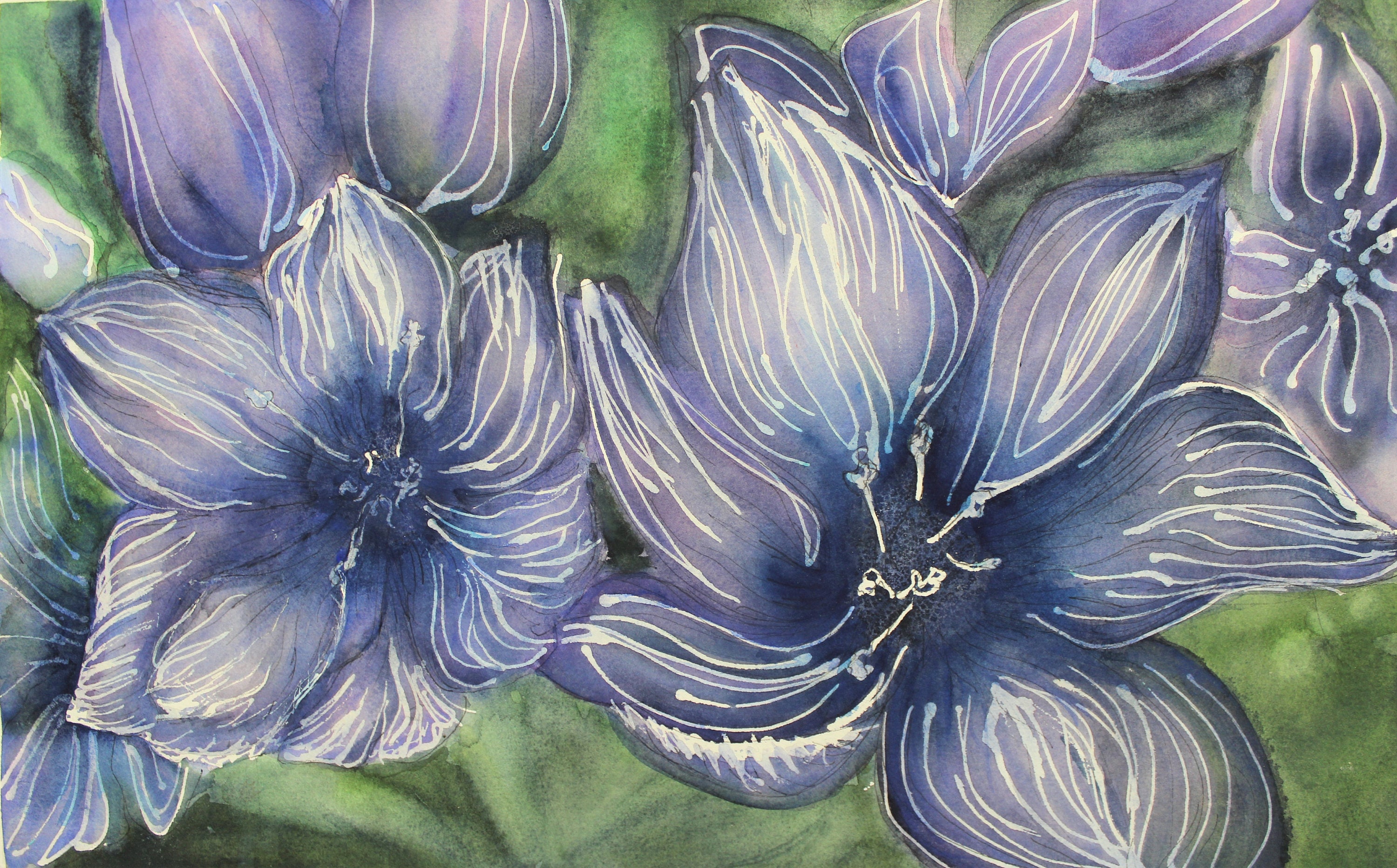 Blue Flowers Watercolor Fine Art Print, Available in 10x13 Inches and 13x20 Inches Etsy