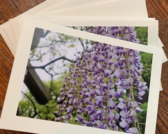 Purple Wisteria Flower Notecard Set, set of 3 5x7 inch ivory cards