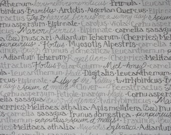 Tissu avec écriture "bleu/vert"