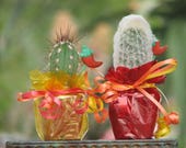 10 Decorated Cactus Mexican Fiesta in 2 inch pots