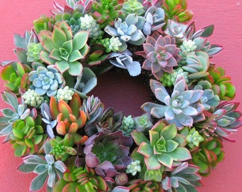 Succulent Wreath
