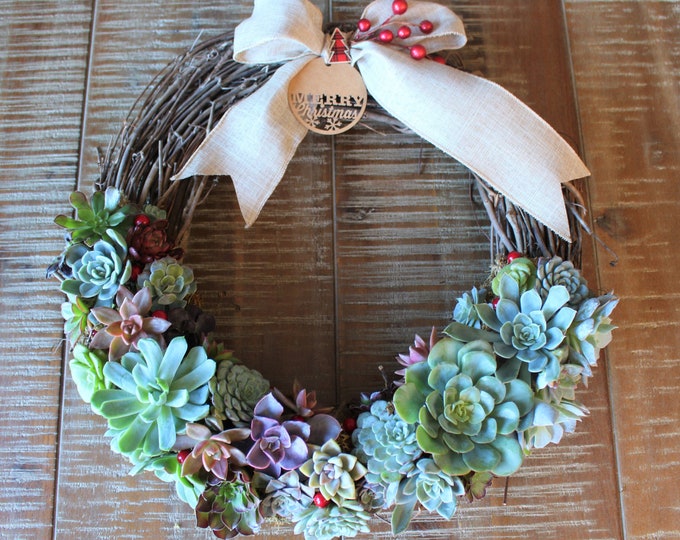 Handmade Live Succulent Wreath, Vine Arrangement, 14 Inch