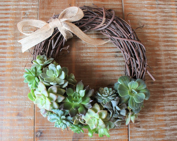 Live Succulent Heart Wreath, Greenhouse Grown, 12 inch