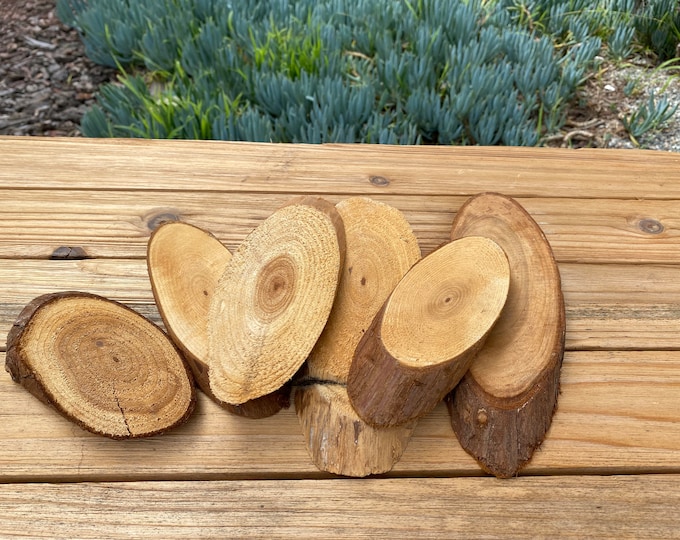 natural wood for decoration set 6 pieces