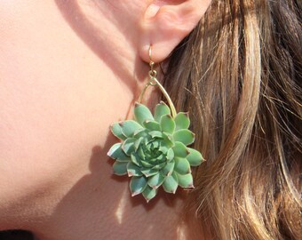 Real plant sale earrings