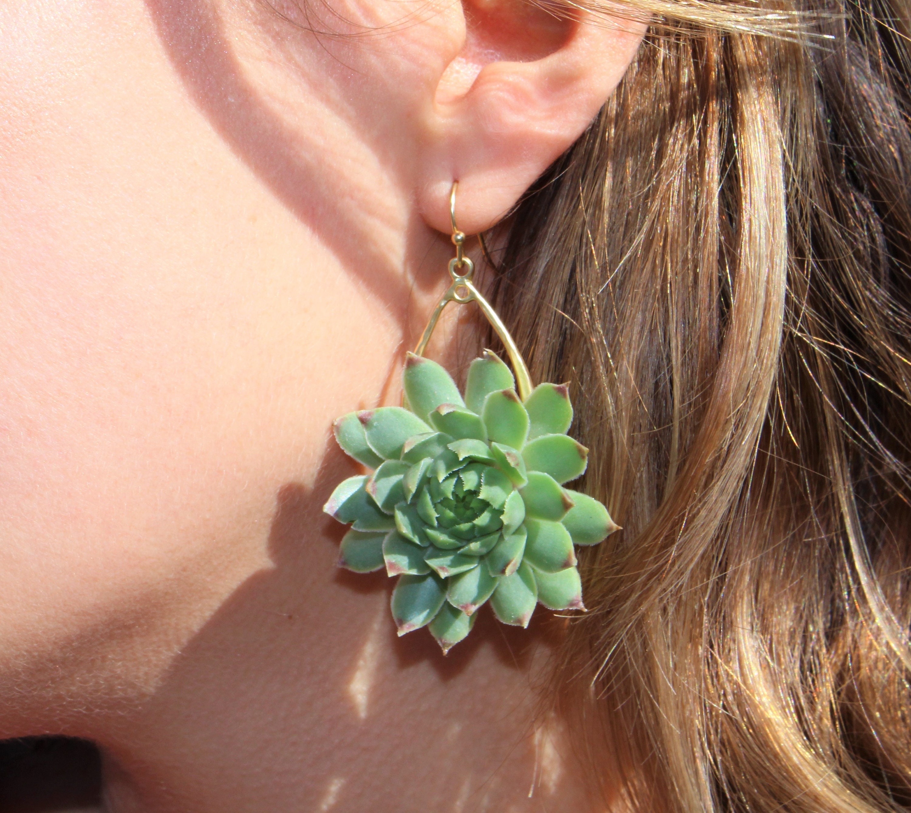 Succulent earrings deals