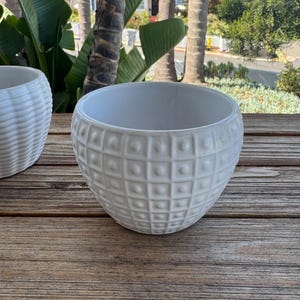 May include: A white ceramic planter with a rounded shape and a textured exterior featuring a grid pattern of raised dots. The planter has a wide circular opening and a smooth interior finish, showcasing a clean and simple design for plant display.