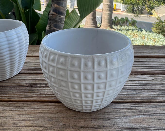 One white ceramic pots for plants 4 x 4