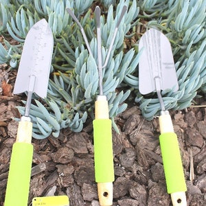 May include: Three gardening tools with wooden handles and neon green grips. The tools include a trowel, a cultivator, and a transplanting trowel. The tools are set against a backdrop of blue-green succulent plants and wood chips. The text "Cactus Limon" is visible.