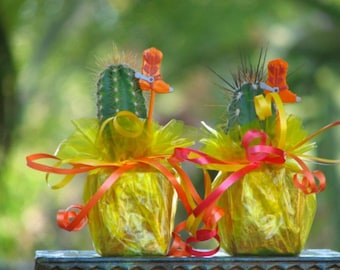Mini Potted Cactus Party Favors, Tex-Mex Decor, Set of 10