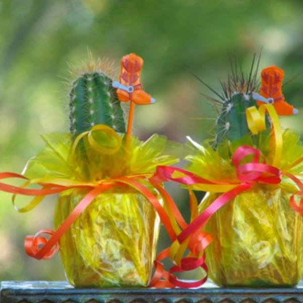 10 Mini Cactus Plant Party Favor Tex-Mex, Party favors, Potted Mini Plants