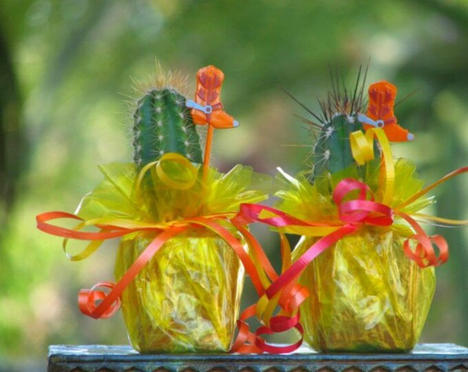 Mini Potted Cactus Party Favors, Tex-Mex Decor, Set of 10