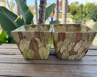 Plant Container 6 x 6 1/2” one container