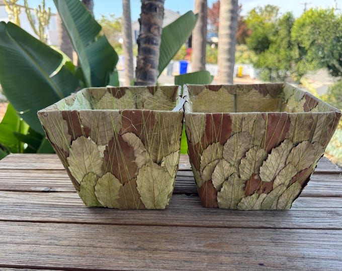 Plant Container 6 x 6 1/2” one container