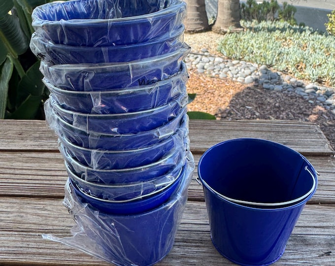 Set of 12 pots for plants royal blue
