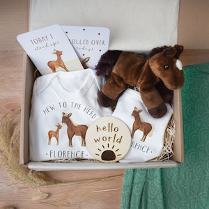 Puede incluir: Una caja de regalo llena de artículos para bebés, incluyendo un body blanco con el texto "New to the Herd" y un peluche de caballo marrón. La caja también incluye un letrero de madera con el texto "hello world" y un gráfico de sol.