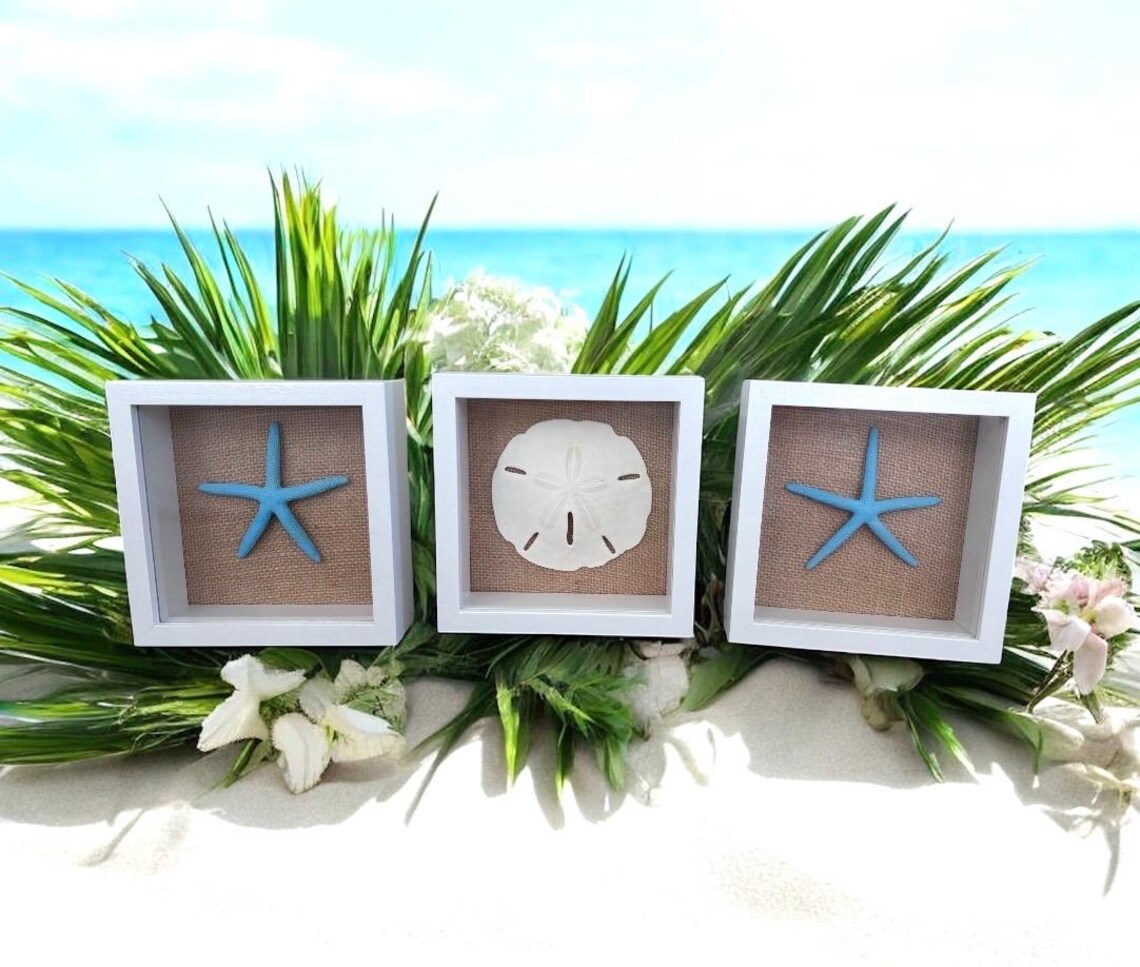 Coastal Shadow Box Framed | Set Starfish & Sand Dollar Wall Art | Beach ...