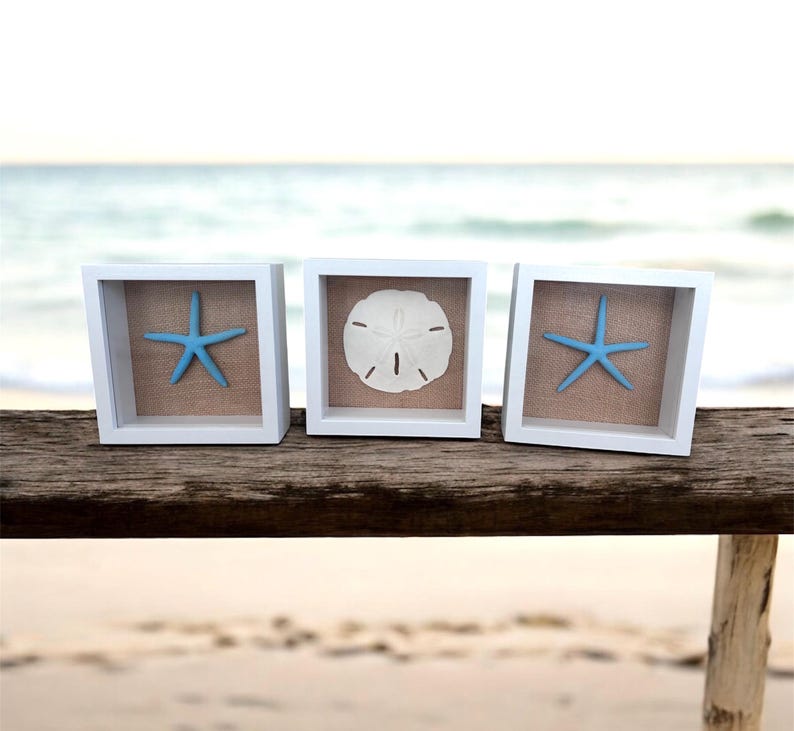 Coastal Shadow Box Framed | Set Starfish & Sand Dollar Wall Art | Beach ...